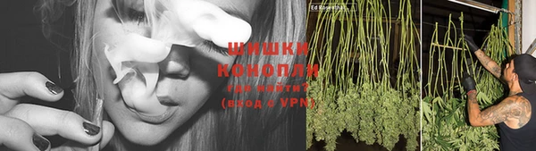 дмт Дмитриев