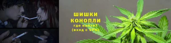 дурь Дмитровск