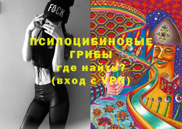 дмт Дмитриев