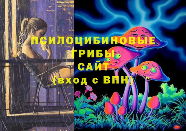 дмт Дмитриев